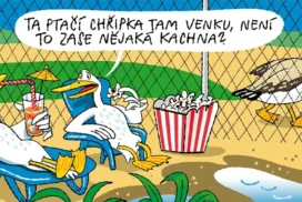 Ptačí chřipka